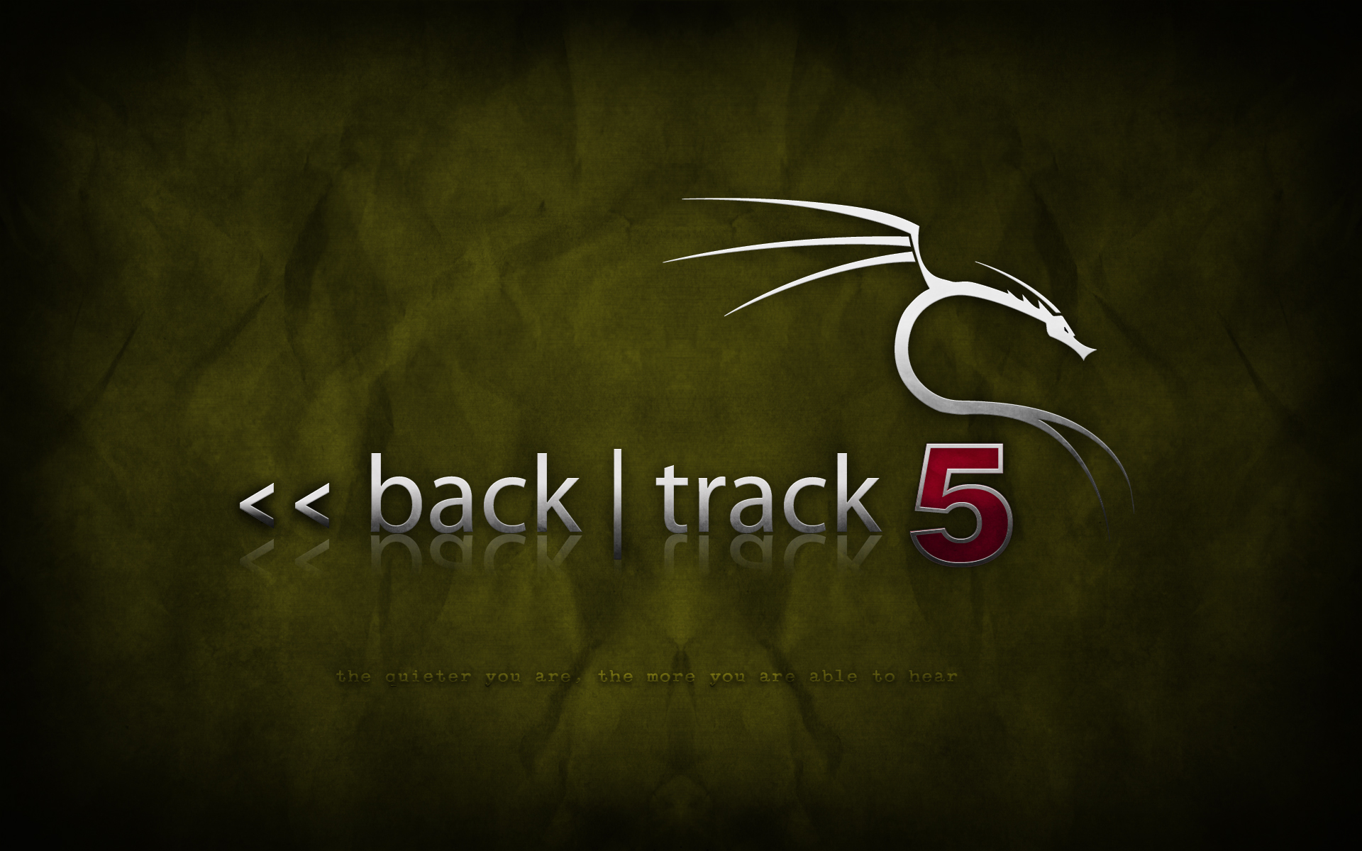 backtrack-5-camo-2.png