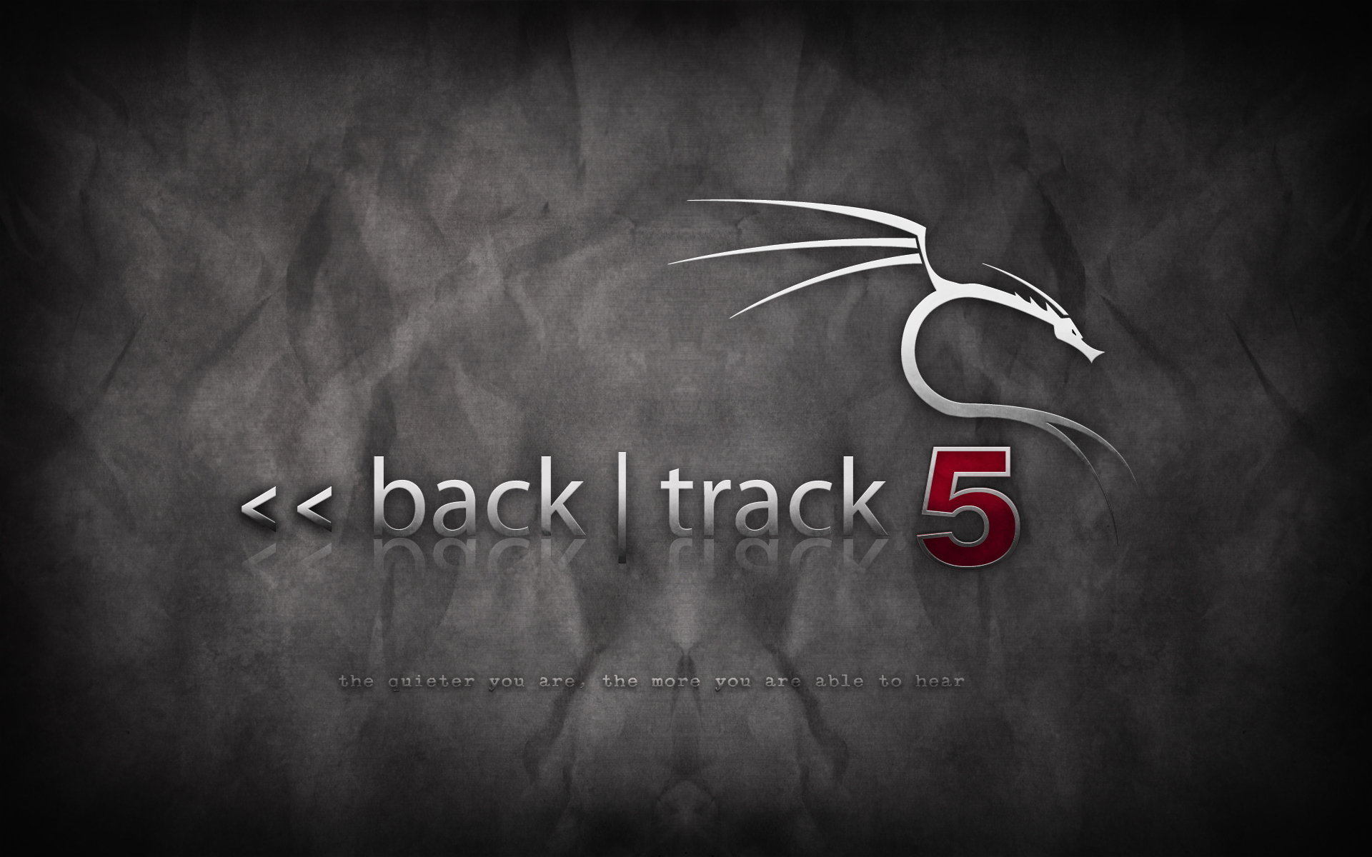 backtrack-5-grey1-2.png