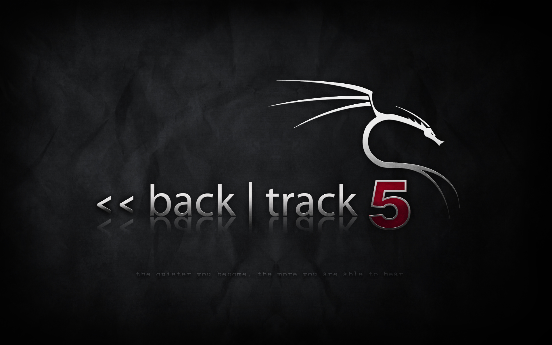 backtrack-5-grey2-1.png