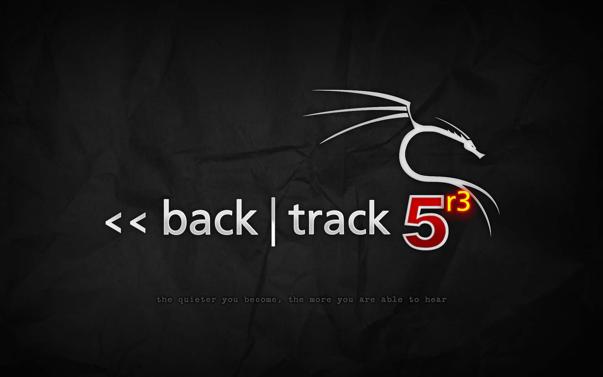 backtrack-5r3-grey.png