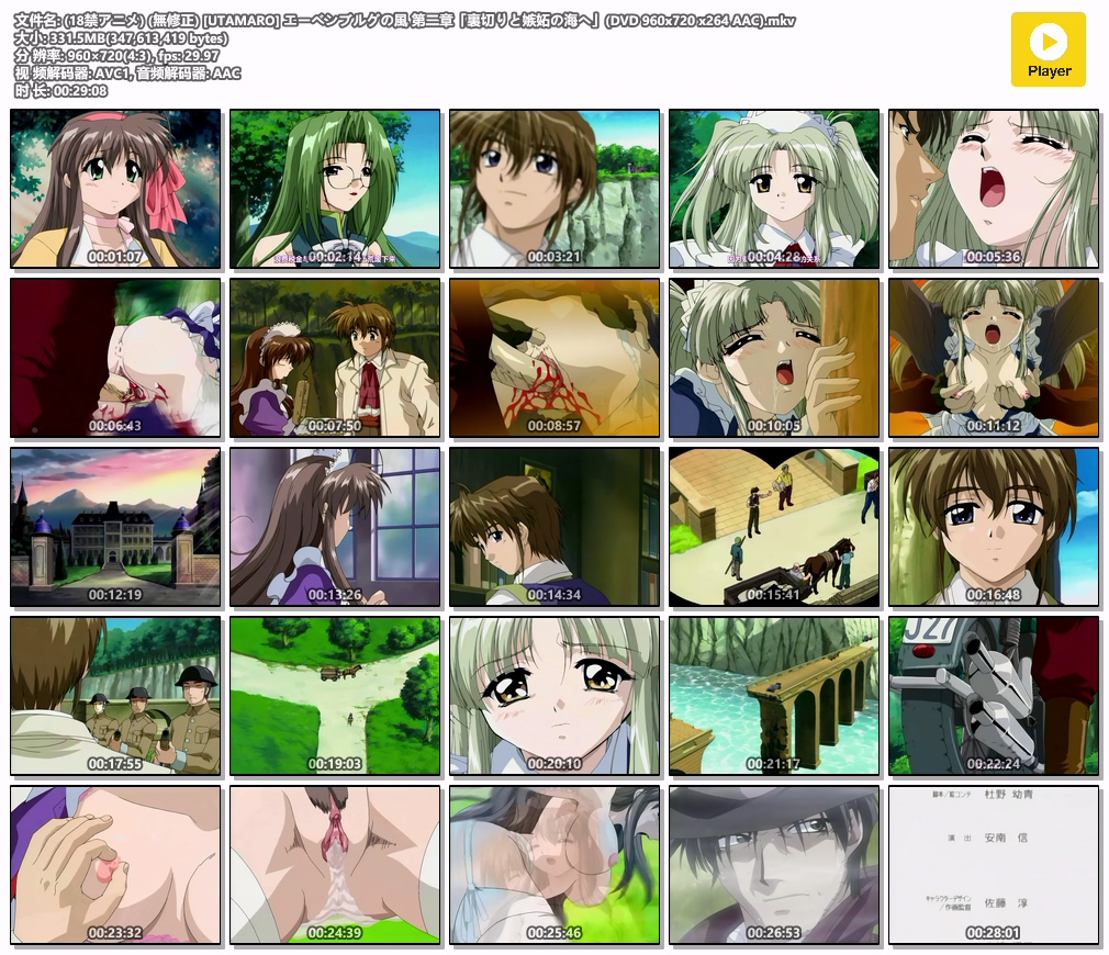 (18禁アニメ) (無修正) [UTAMARO] エーベンブルグの風 第二章「裏切りと嫉妬の海へ」(DVD 960x720 x264 AAC).mkv.jpg
