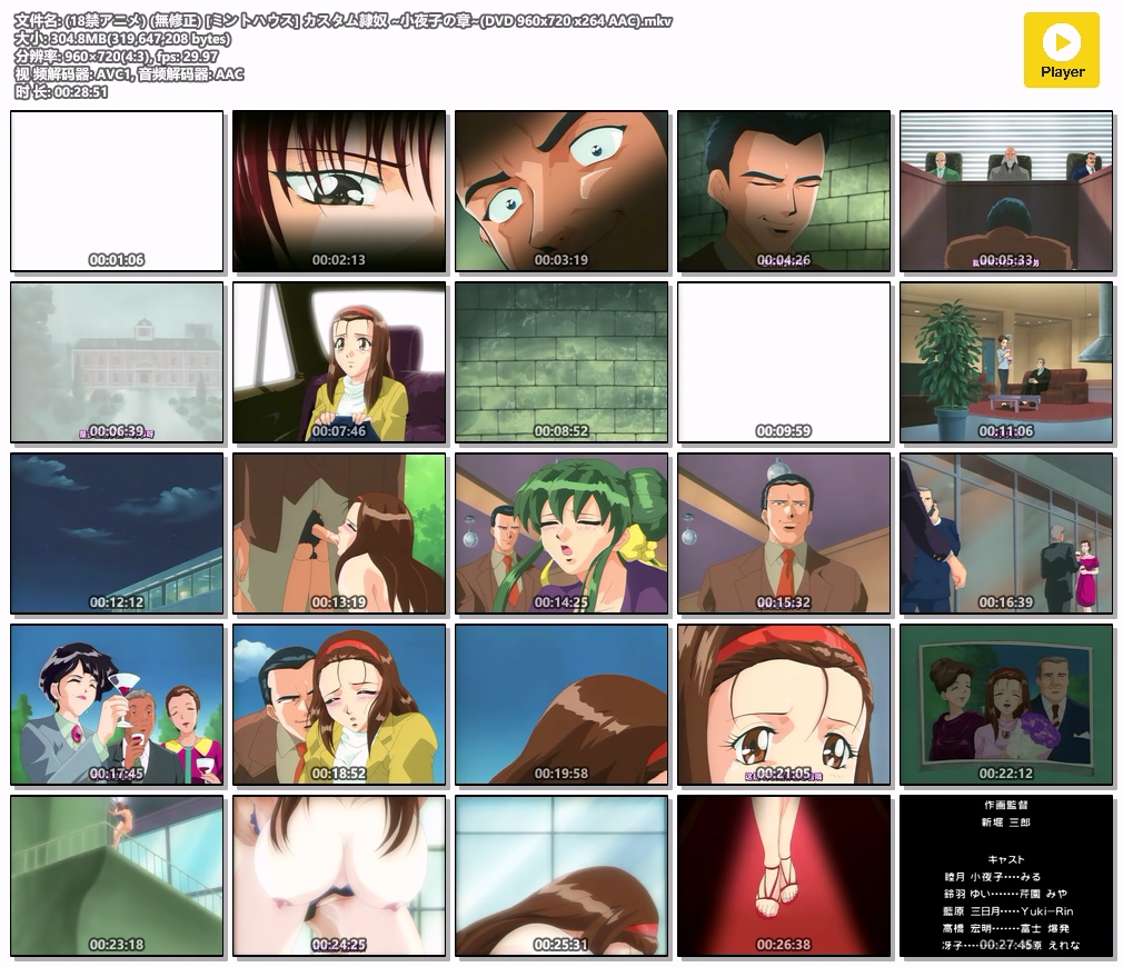 (18禁アニメ) (無修正) [ミントハウス] カスタム隷奴 ~小夜子の章~(DVD 960x720 x264 AAC).mkv.jpg