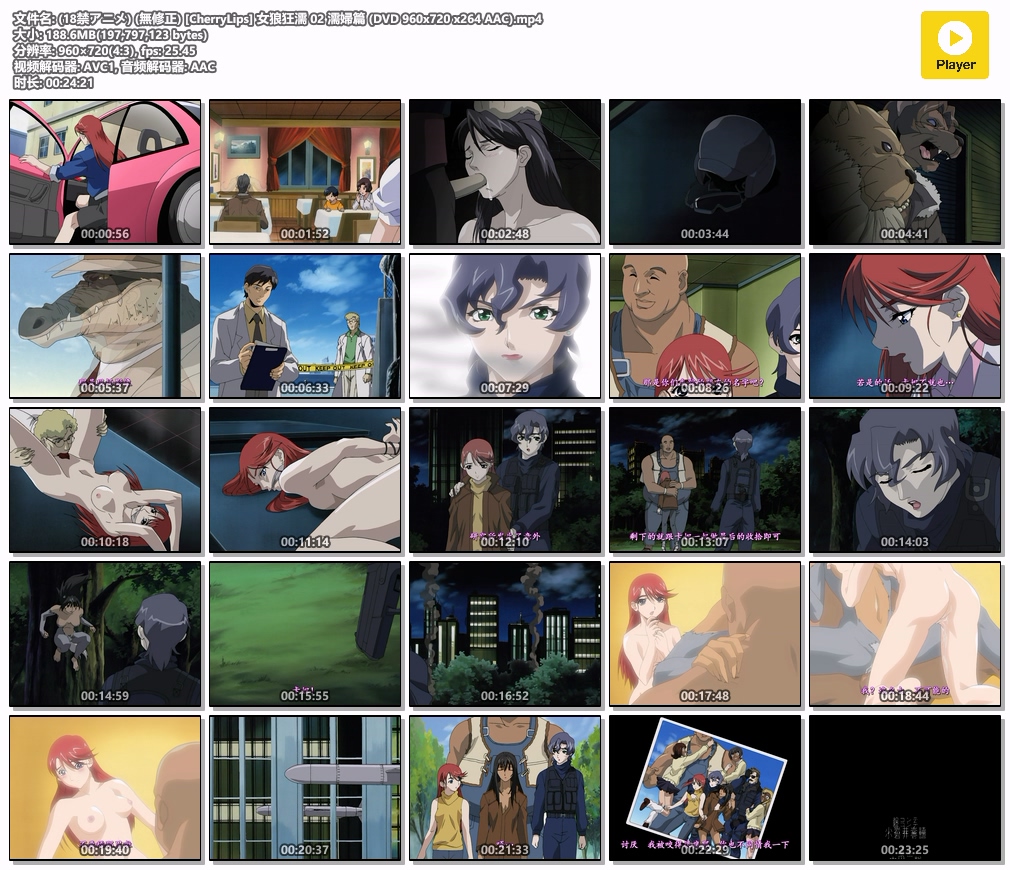 (18禁アニメ) (無修正) [CherryLips] 女狼狂濡 02 濡婦篇 (DVD 960x720 x264 AAC).mp4.jpg