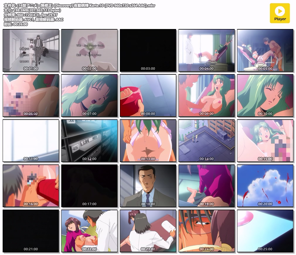 (18禁アニメ) (無修正) [Discovery] 夜勤病棟 Karte.10 (DVD 960x720 x264 AAC).mkv.jpg