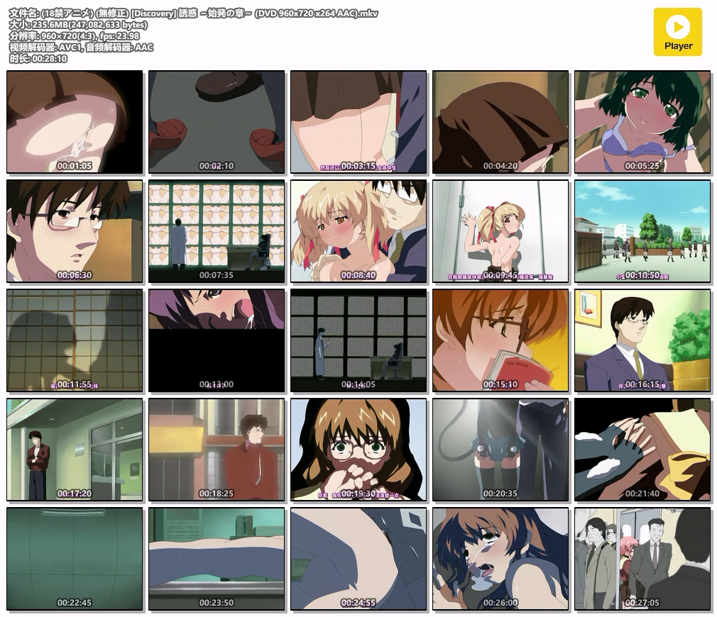 (18禁アニメ) (無修正) [Discovery] 誘惑 ～始発の章～ (DVD 960x720 x264 AAC).mkv.jpg