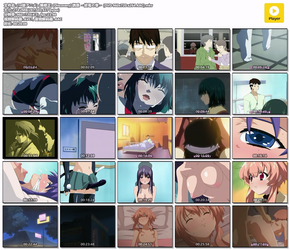(18禁アニメ) (無修正) [Discovery] 誘惑 ～終電の章～ (DVD 960x720 x264 AAC).mkv.jpg