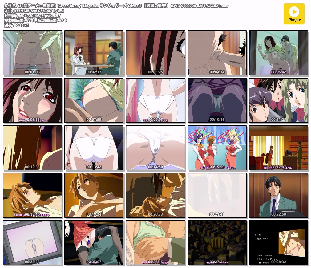 (18禁アニメ) (無修正) [Green Bunny] Lingeries ランジェリーズ Office 3 「愛奴の玲奈」 (DVD 960x720 x264 AACx2).mkv.jpg