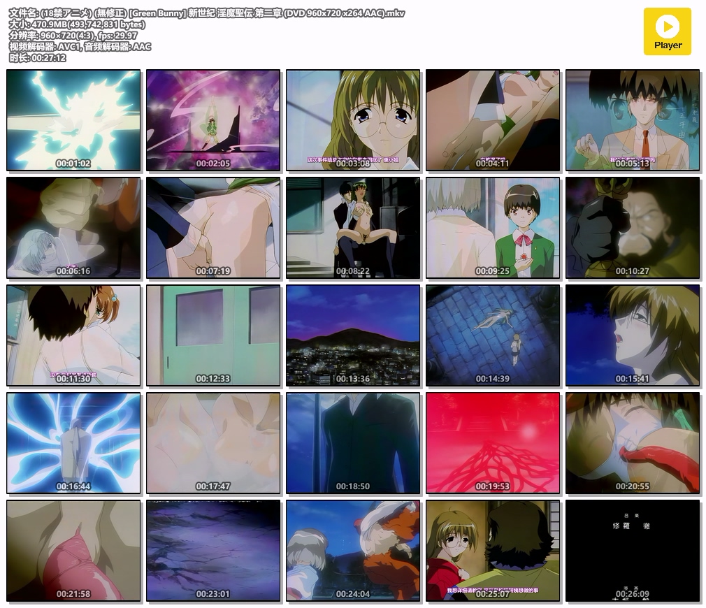 (18禁アニメ) (無修正) [Green Bunny] 新世紀 淫魔聖伝 第二章 (DVD 960x720 x264 AAC).mkv.jpg
