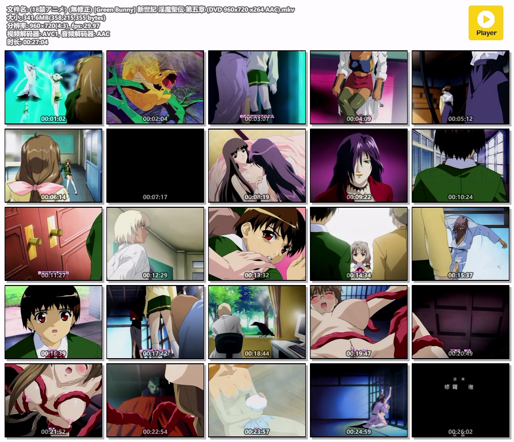 (18禁アニメ) (無修正) [Green Bunny] 新世紀 淫魔聖伝 第五章 (DVD 960x720 x264 AAC).mkv.jpg