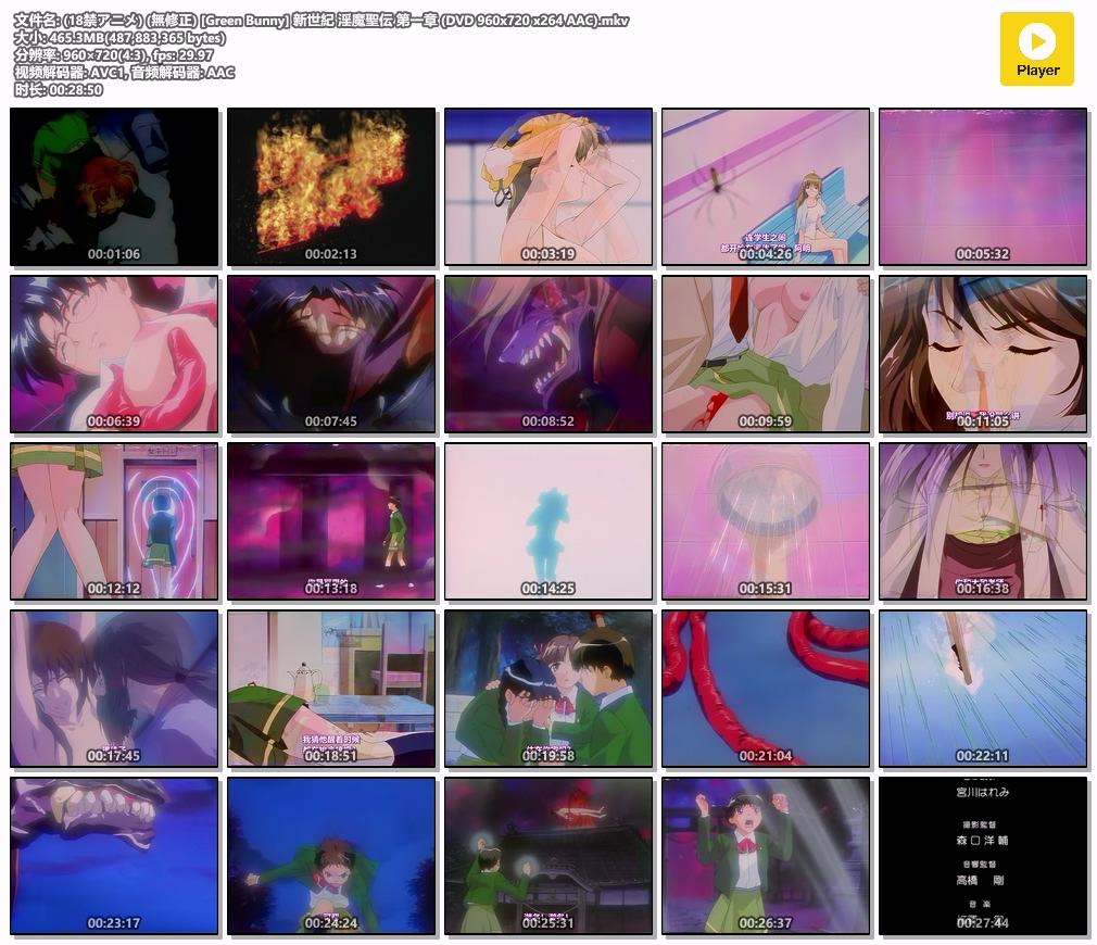(18禁アニメ) (無修正) [Green Bunny] 新世紀 淫魔聖伝 第一章 (DVD 960x720 x264 AAC).mkv.jpg