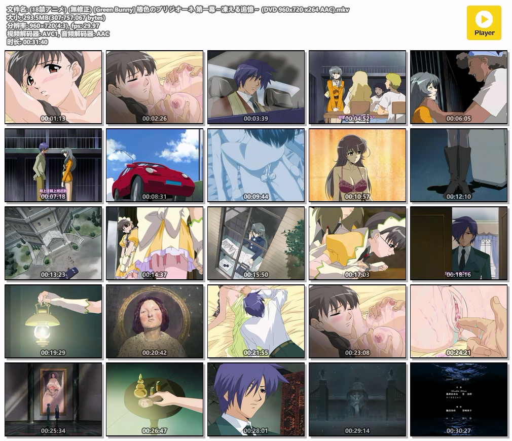 (18禁アニメ) (無修正) [Green Bunny] 椿色のプリジオーネ 第一幕～凍える追憶～ (DVD 960x720 x264 AAC).mkv.jpg