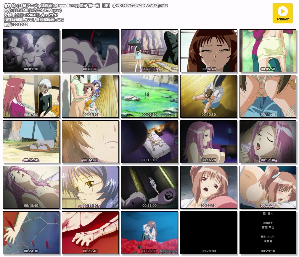 (18禁アニメ) (無修正) [Green Bunny] 螢子 第一夜 「凌」 (DVD 960x720 x264 AACx2).mkv.jpg