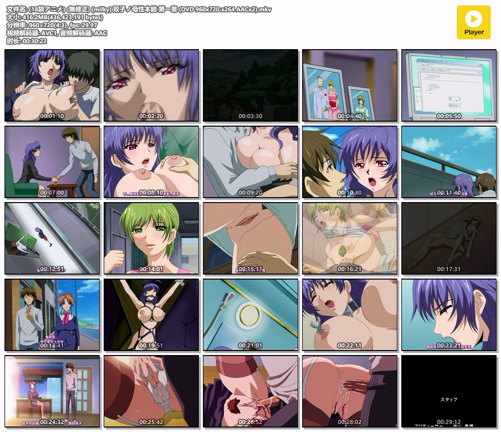 (18禁アニメ) (無修正) [milky] 双子ノ母性本能 第一章 (DVD 960x720 x264 AACx2).mkv.jpg