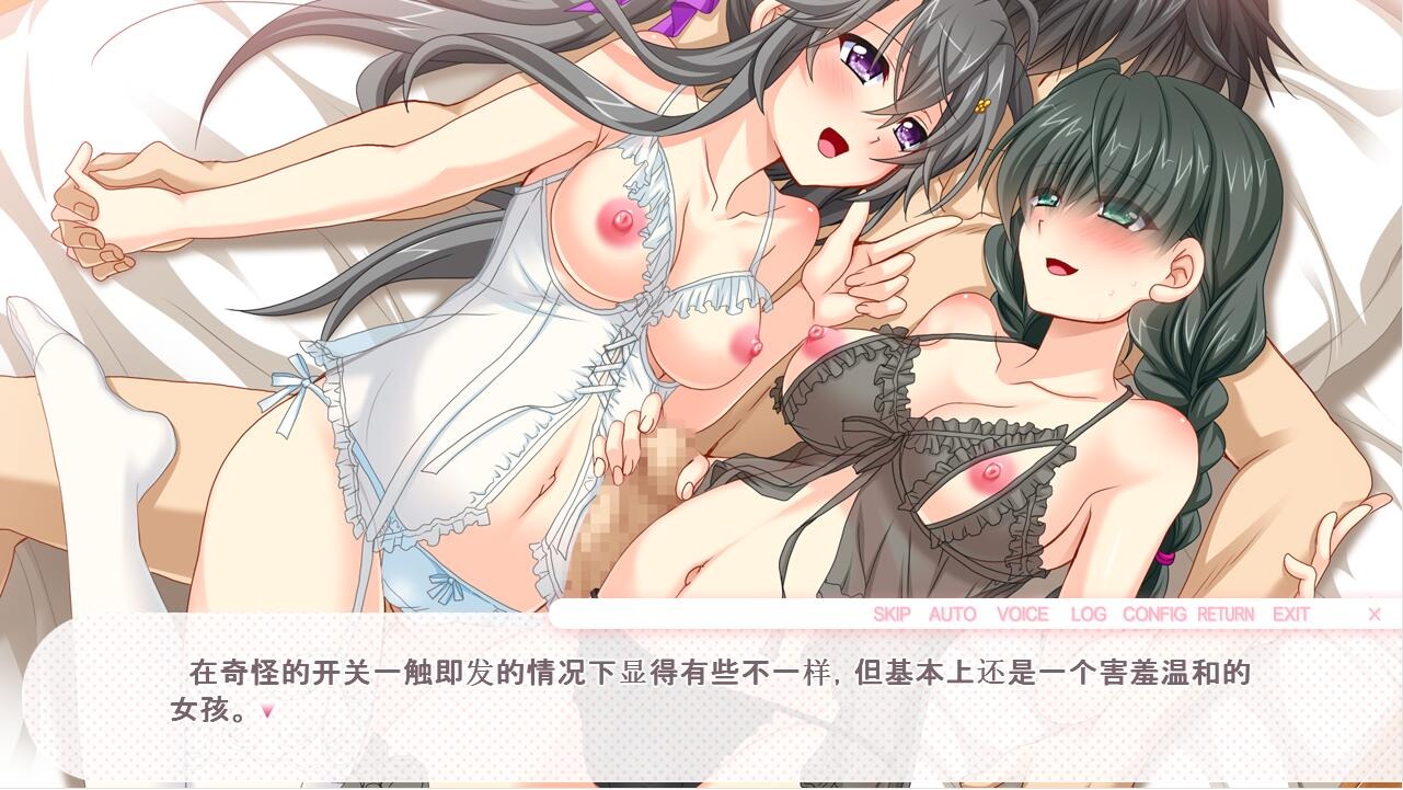 图片[3]-A9034[ADV/汉化]双活与双重人格双胞胎度过甜蜜的生活AI汉化版+全CG回想[[1.7G]-目标是h游戏大师