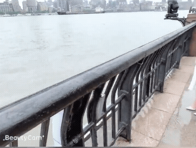 1000012167.gif