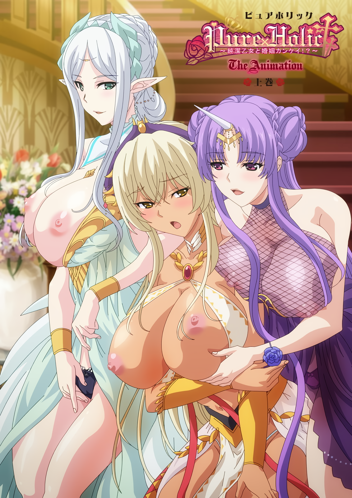 ピュアホリック ～純潔乙女と婚姻カンケイ!～THE ANIMATION 上巻.png