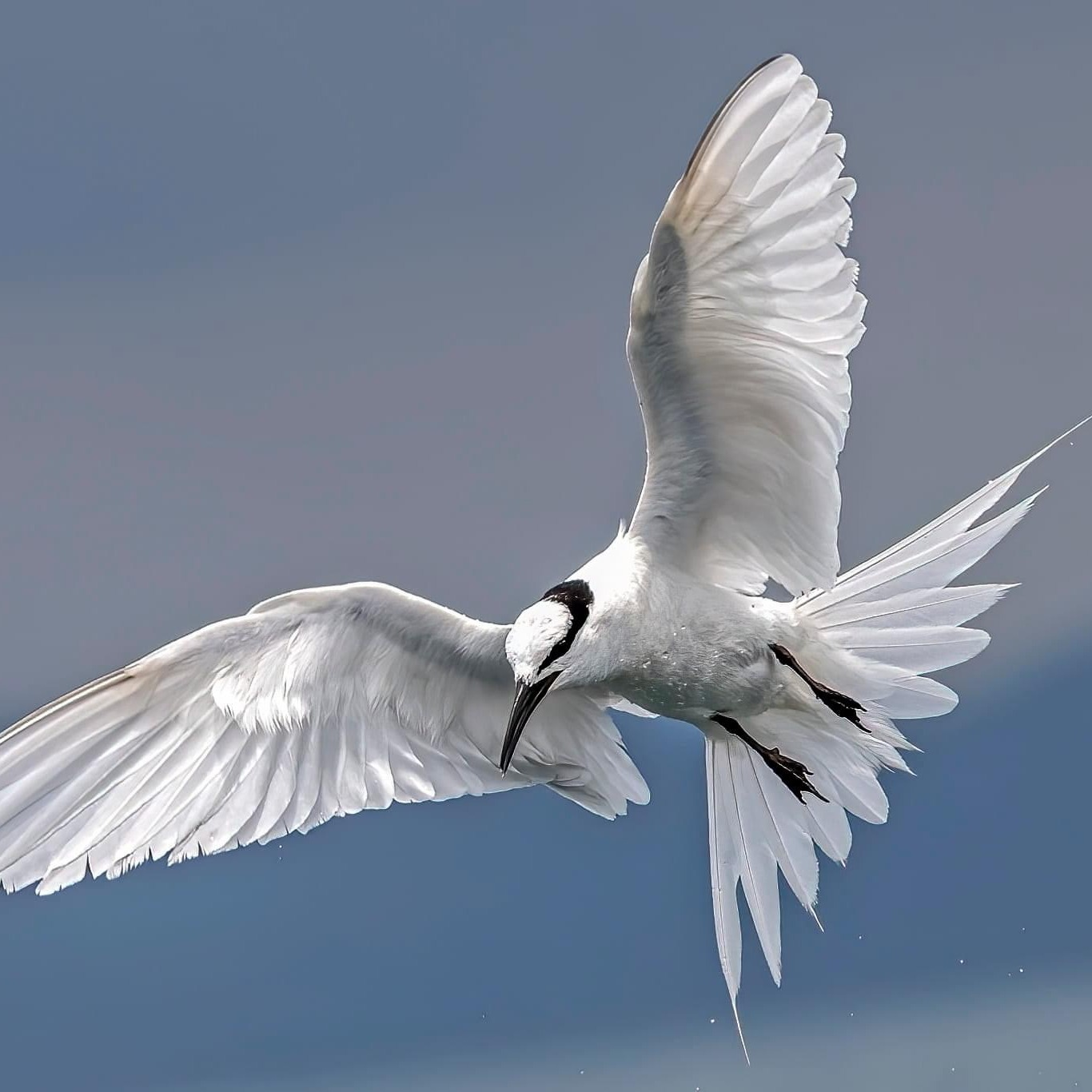 狂风穿云破九重