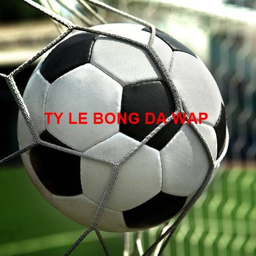 tylebongdawap109