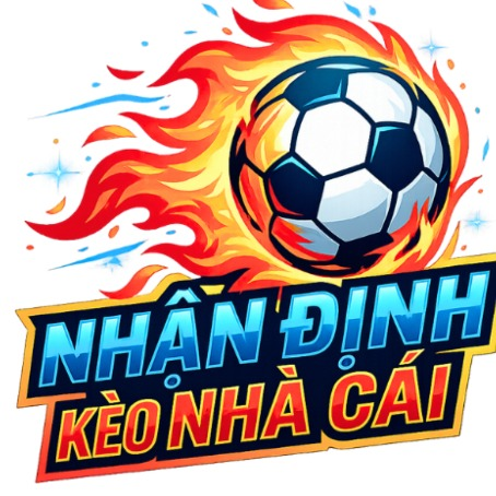 nhandinhnhacaic