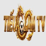 tieulamtvcom