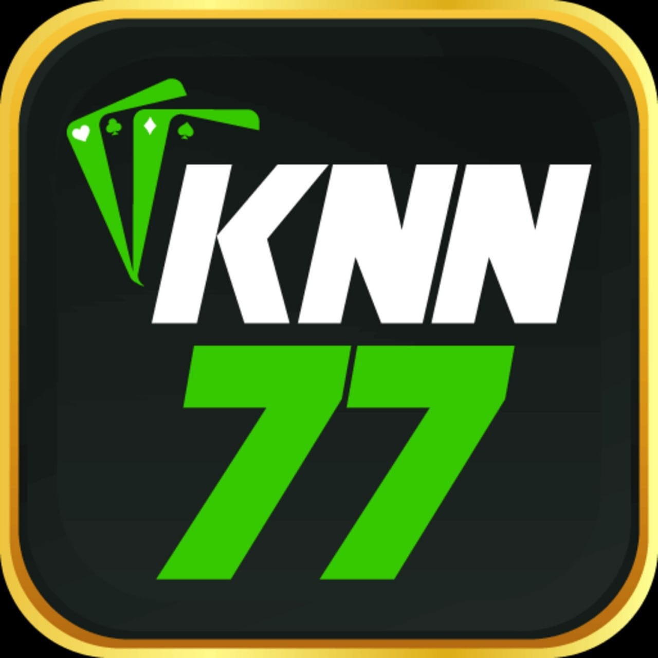 knn77vip1