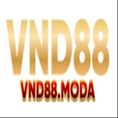 vnd88moda2