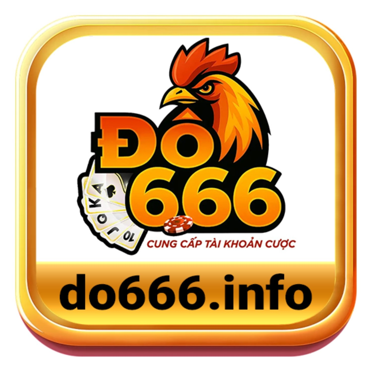 do666info