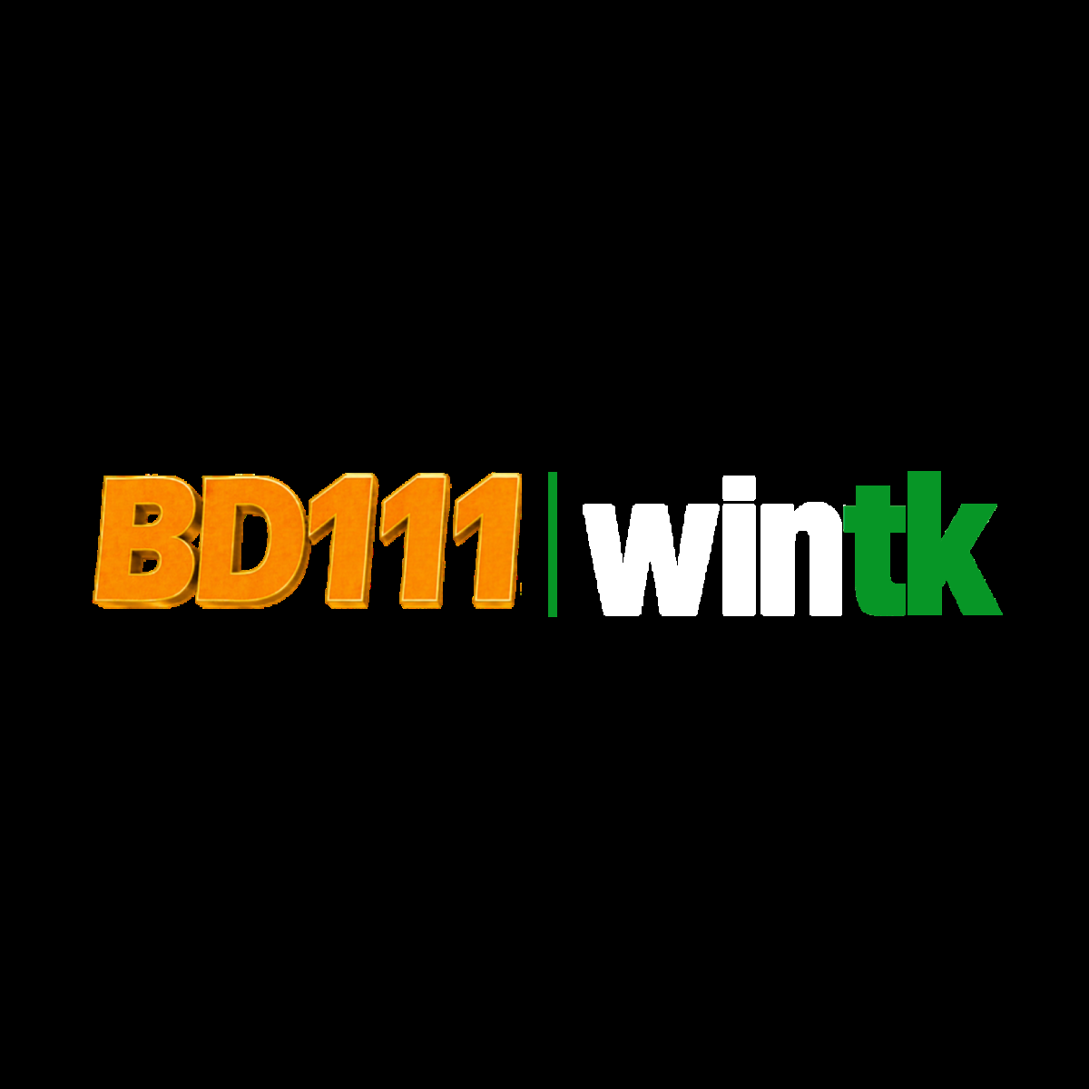 bd111vipnet