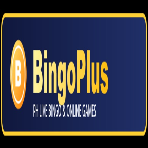 bingoplusfit
