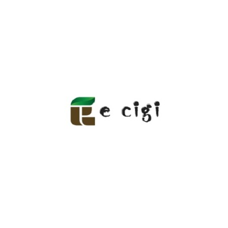 ecigibolt