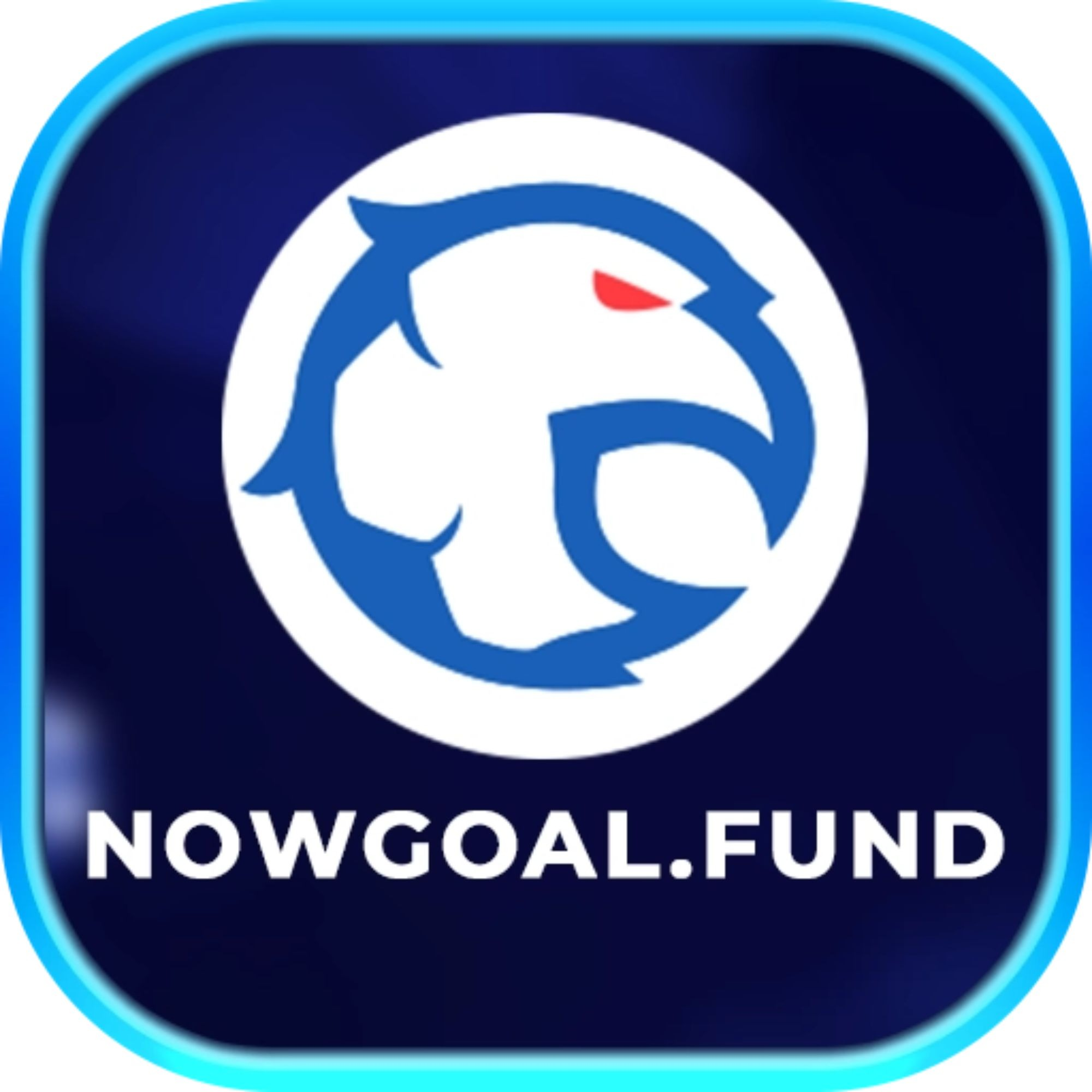 nowgoalfund1