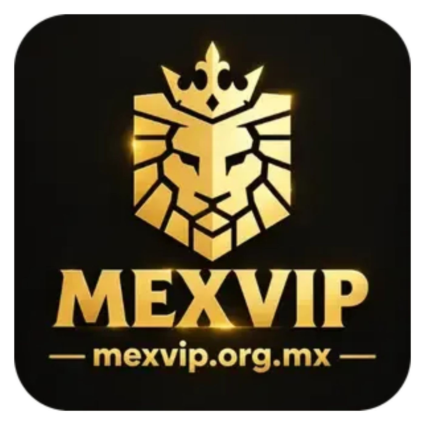 mexviporgmx