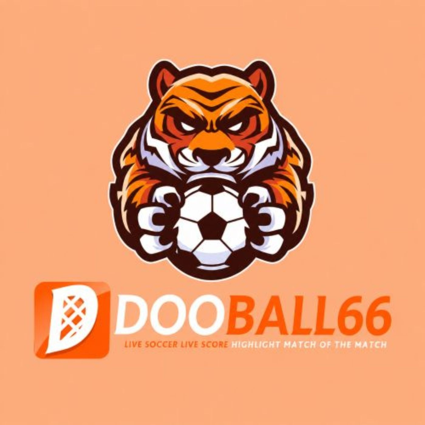 dooball66futbol