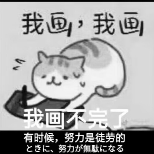 猫孑