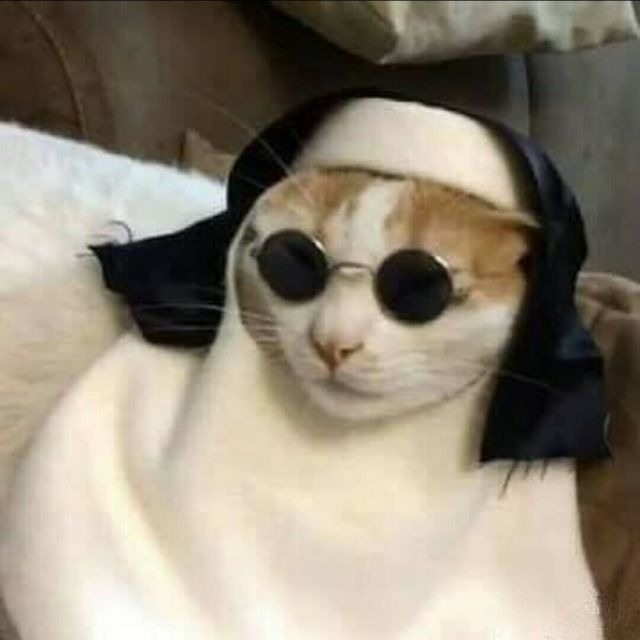 莫落荼