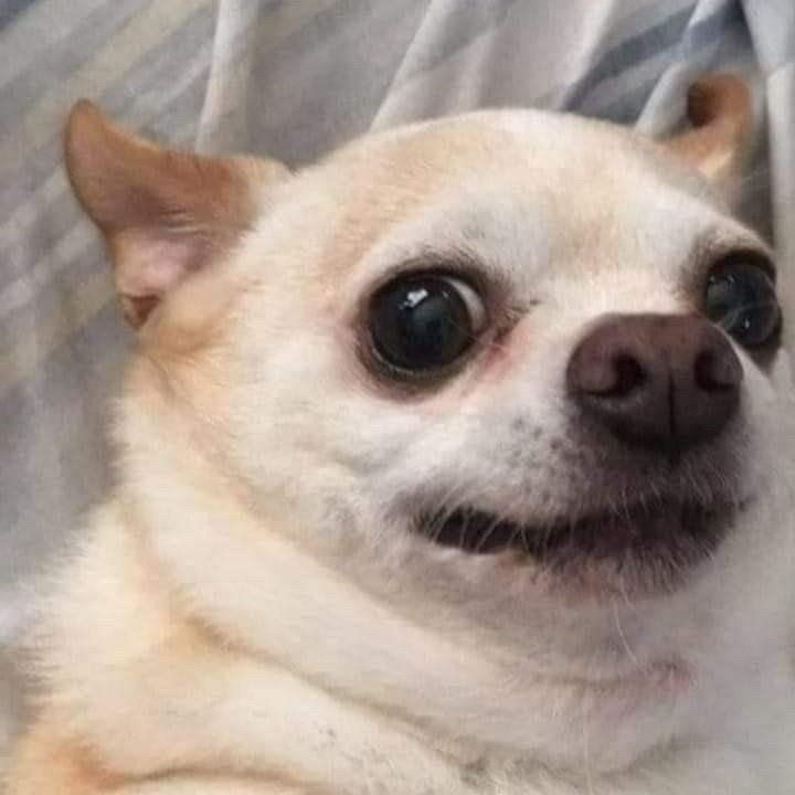 holysheep
